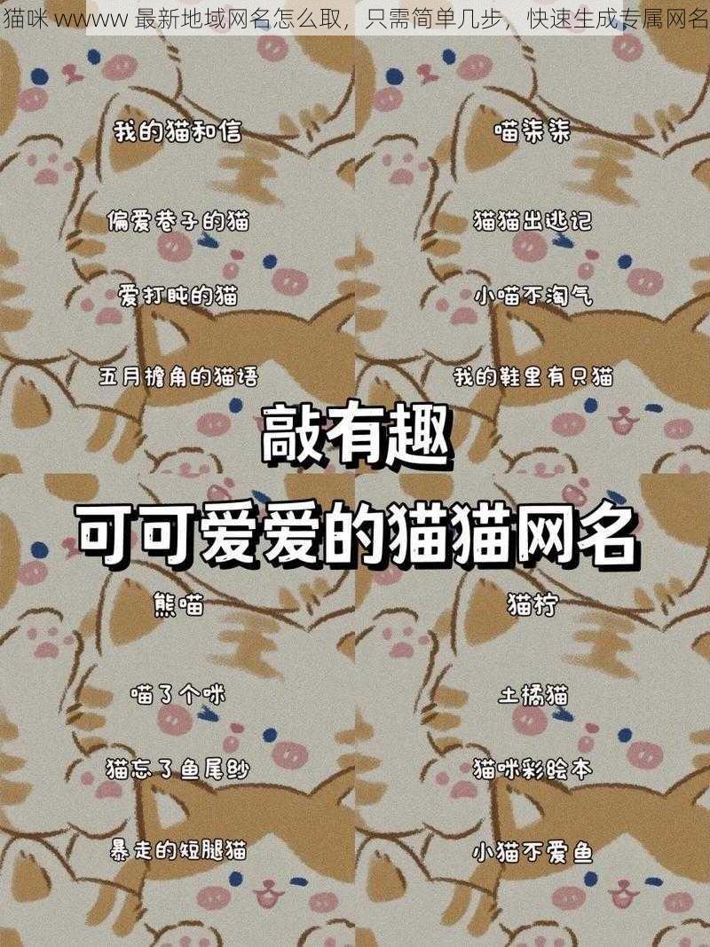 猫咪 wwww 最新地域网名怎么取，只需简单几步，快速生成专属网名