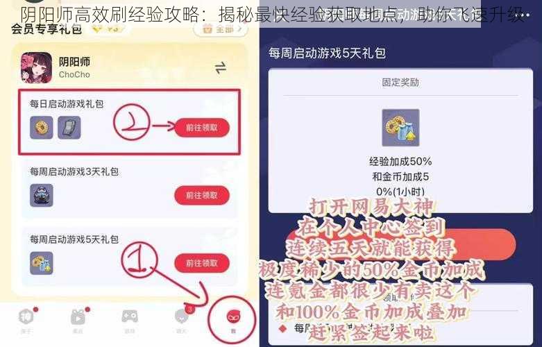 阴阳师高效刷经验攻略：揭秘最快经验获取地点，助你飞速升级