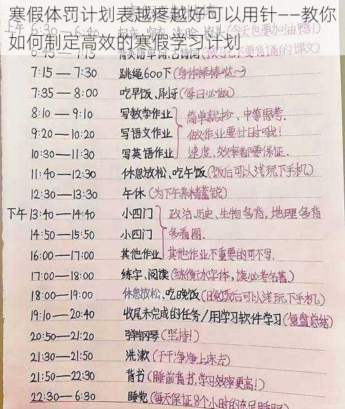 寒假体罚计划表越疼越好可以用针——教你如何制定高效的寒假学习计划