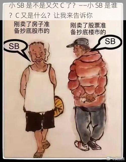 小 SB 是不是又欠 C 了？——小 SB 是谁？C 又是什么？让我来告诉你