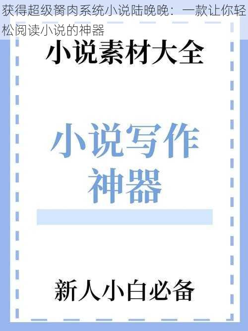 获得超级胬肉系统小说陆晚晚：一款让你轻松阅读小说的神器