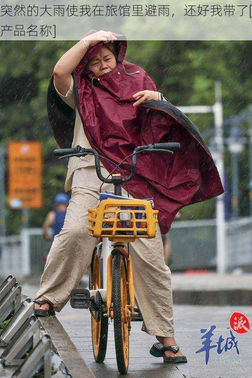 突然的大雨使我在旅馆里避雨，还好我带了[产品名称]