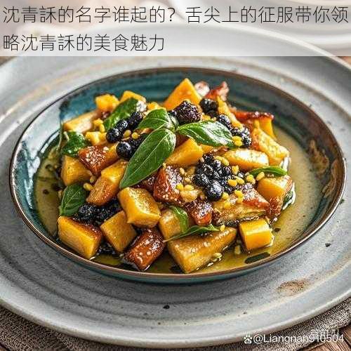 沈青訸的名字谁起的？舌尖上的征服带你领略沈青訸的美食魅力