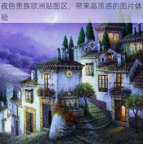 夜色贵族欧洲贴图区，带来高质感的图片体验