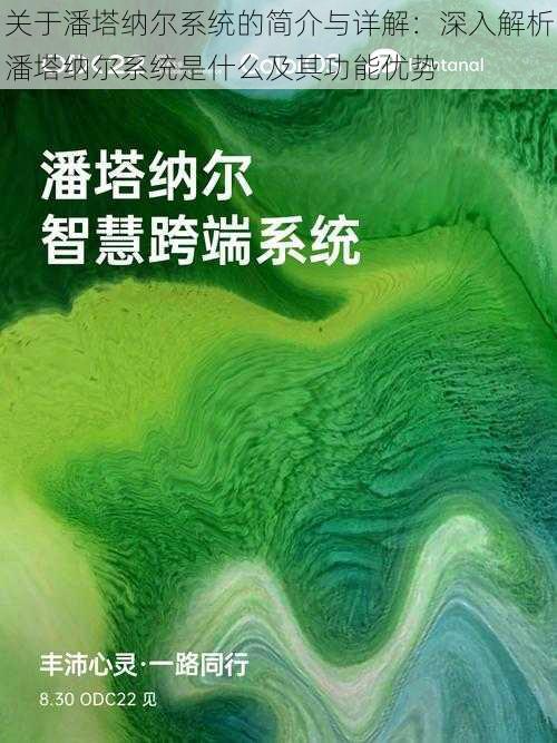 关于潘塔纳尔系统的简介与详解：深入解析潘塔纳尔系统是什么及其功能优势