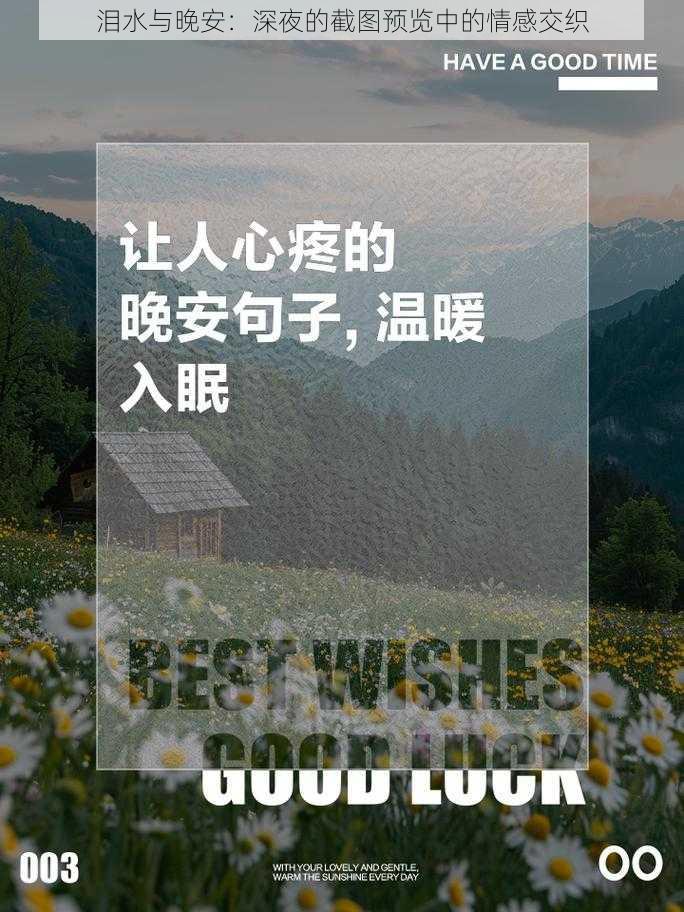 泪水与晚安：深夜的截图预览中的情感交织