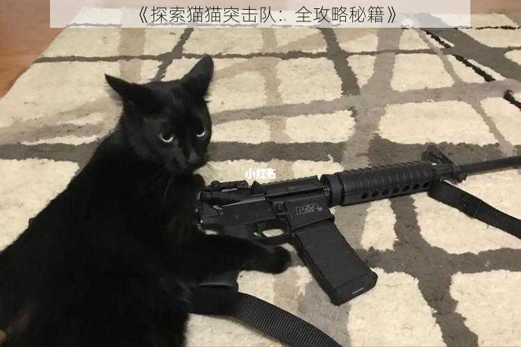 《探索猫猫突击队：全攻略秘籍》