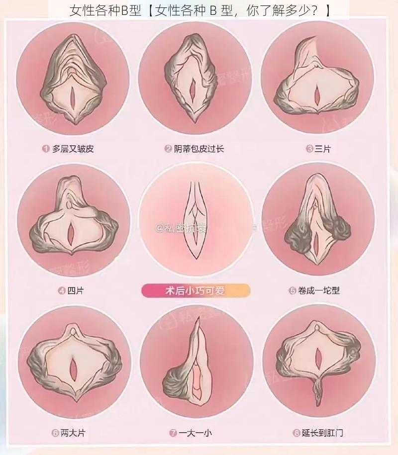 女性各种B型【女性各种 B 型，你了解多少？】