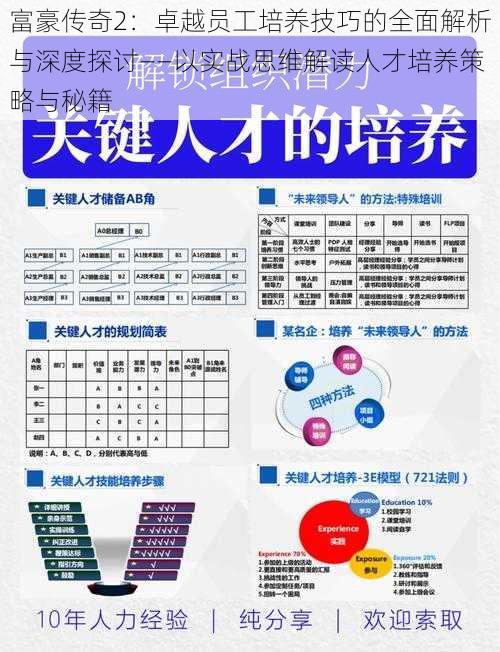 富豪传奇2：卓越员工培养技巧的全面解析与深度探讨——以实战思维解读人才培养策略与秘籍