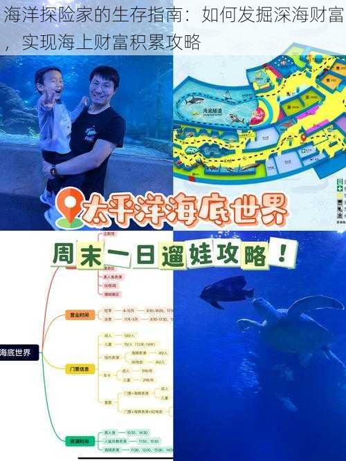 海洋探险家的生存指南：如何发掘深海财富，实现海上财富积累攻略