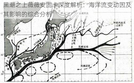 黑潮之上薇薇安固卡深度解析：海洋流变动因及其影响的综合分析