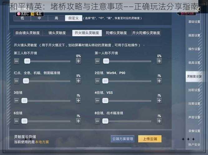 和平精英：堵桥攻略与注意事项——正确玩法分享指南