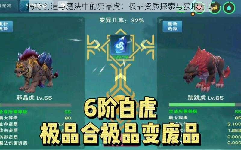 揭秘创造与魔法中的邪晶虎：极品资质探索与获取方式