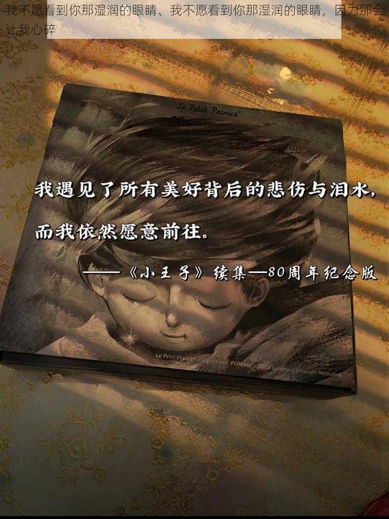 我不愿看到你那湿润的眼睛、我不愿看到你那湿润的眼睛，因为那会让我心碎