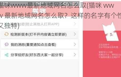 猫咪www最新地域网名怎么取(猫咪 www 最新地域网名怎么取？这样的名字有个性又独特)