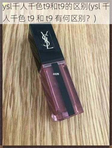 ysl千人千色t9和t9的区别(ysl 千人千色 t9 和 t9 有何区别？)