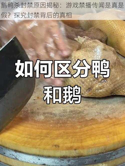 鹅鸭杀封禁原因揭秘：游戏禁播传闻是真是假？探究封禁背后的真相