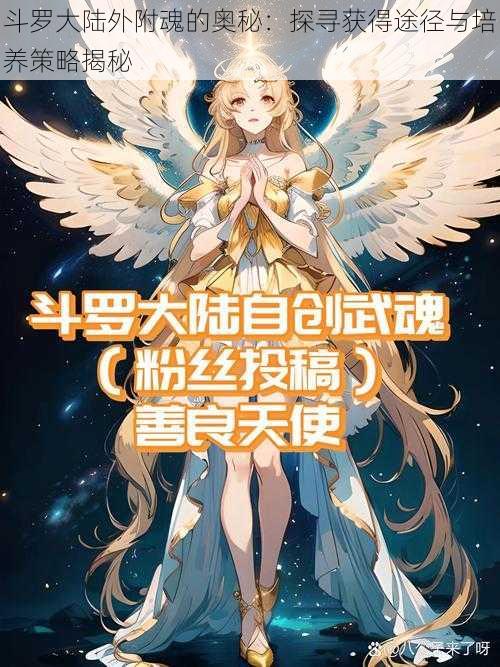 斗罗大陆外附魂的奥秘：探寻获得途径与培养策略揭秘