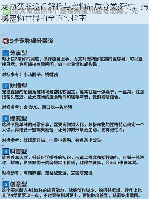 宠物获取途径解析与宠物品质分类探讨：揭秘宠物世界的全方位指南