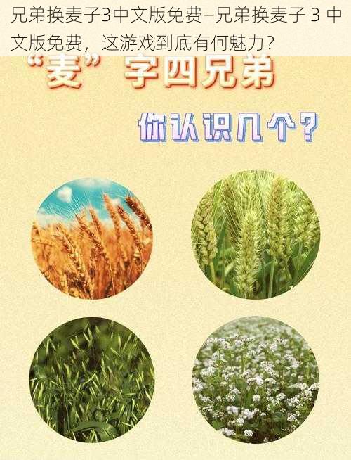 兄弟换麦子3中文版免费—兄弟换麦子 3 中文版免费，这游戏到底有何魅力？