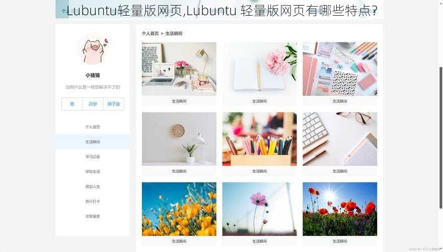 Lubuntu轻量版网页,Lubuntu 轻量版网页有哪些特点？