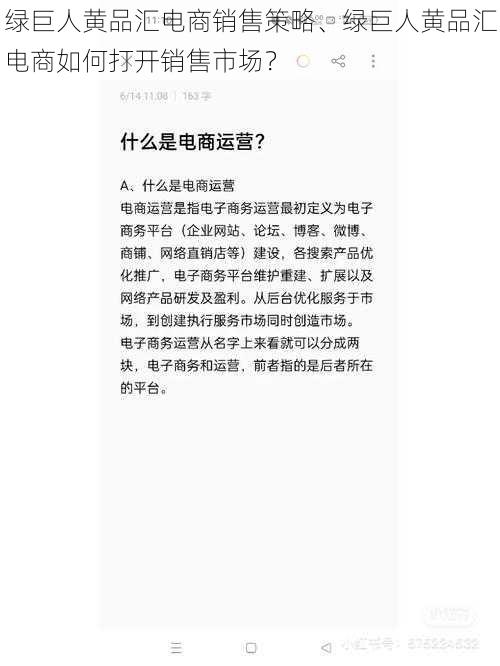 绿巨人黄品汇电商销售策略、绿巨人黄品汇电商如何打开销售市场？