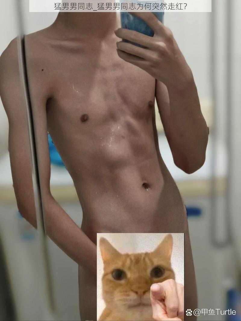 猛男男同志_猛男男同志为何突然走红？