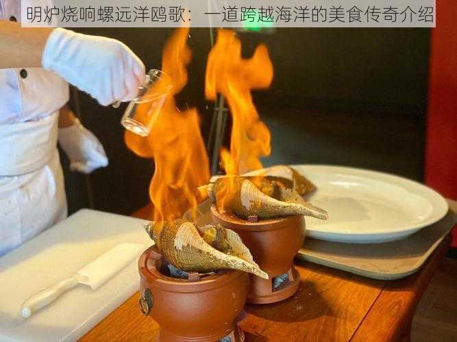 明炉烧响螺远洋鸥歌：一道跨越海洋的美食传奇介绍