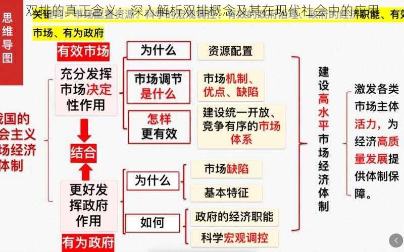 双排的真正含义：深入解析双排概念及其在现代社会中的应用