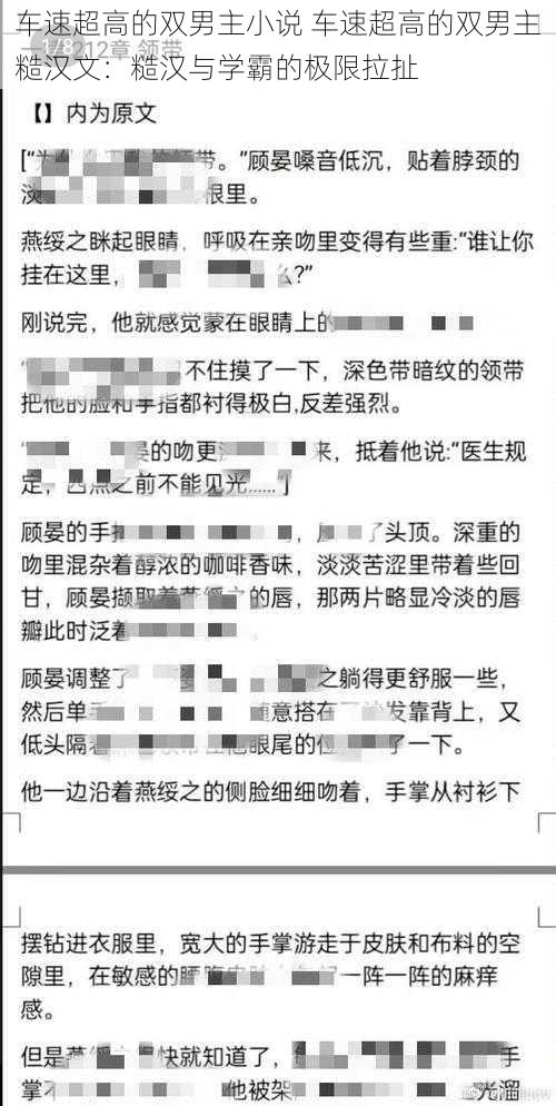 车速超高的双男主小说 车速超高的双男主糙汉文：糙汉与学霸的极限拉扯