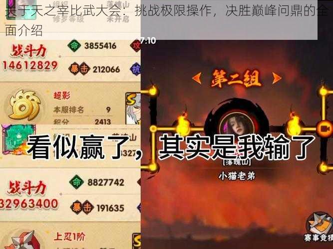 关于天之宰比武大会：挑战极限操作，决胜巅峰问鼎的全面介绍