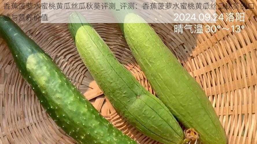 香蕉菠萝水蜜桃黄瓜丝瓜秋葵评测_评测：香蕉菠萝水蜜桃黄瓜丝瓜秋葵的口感与营养价值