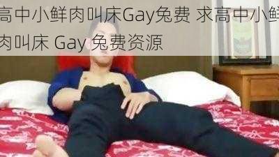 高中小鲜肉叫床Gay兔费 求高中小鲜肉叫床 Gay 兔费资源