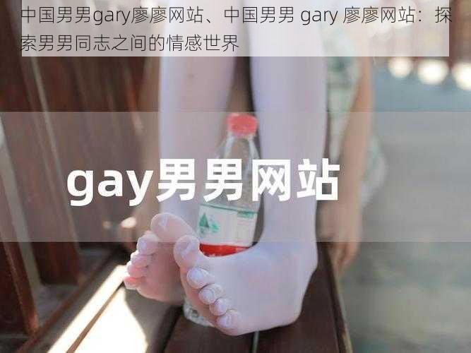 中国男男gary廖廖网站、中国男男 gary 廖廖网站：探索男男同志之间的情感世界