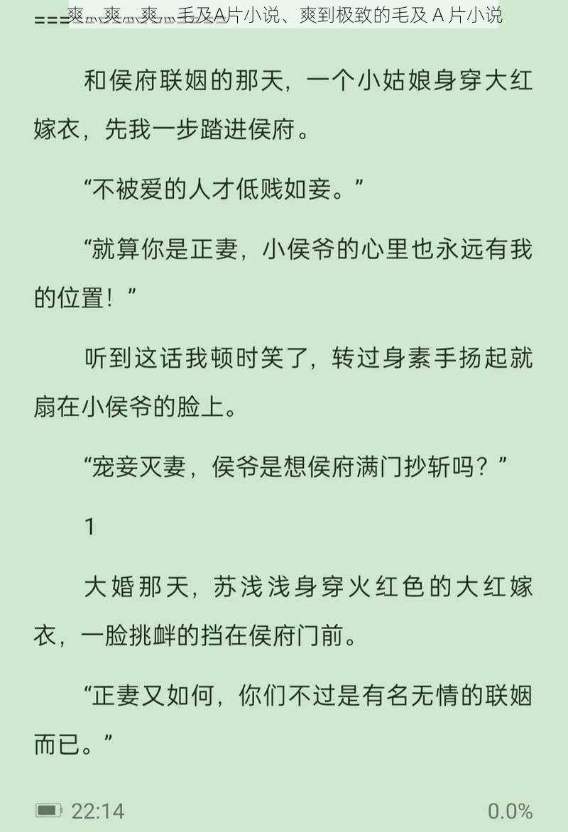 爽灬爽灬爽灬毛及A片小说、爽到极致的毛及 A 片小说