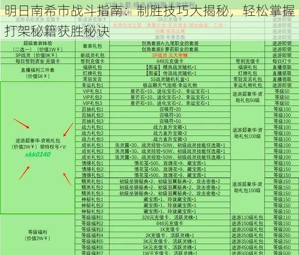 明日南希市战斗指南：制胜技巧大揭秘，轻松掌握打架秘籍获胜秘诀