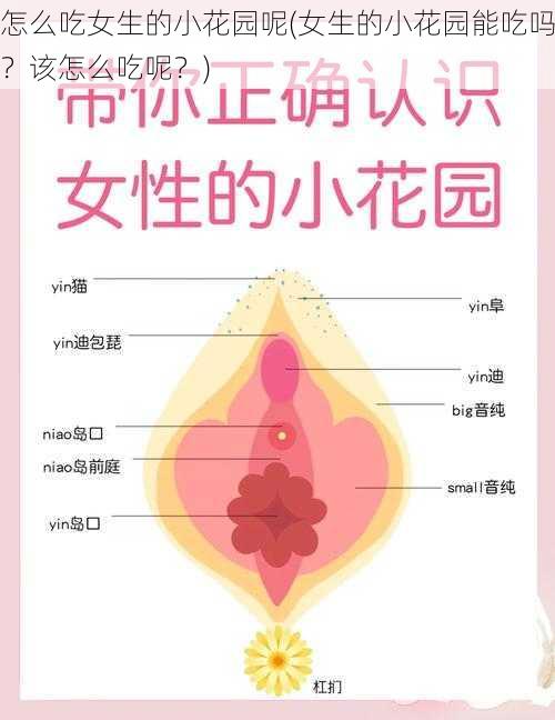 怎么吃女生的小花园呢(女生的小花园能吃吗？该怎么吃呢？)