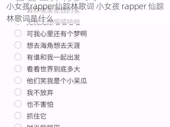 小女孩rapper仙踪林歌词 小女孩 rapper 仙踪林歌词是什么