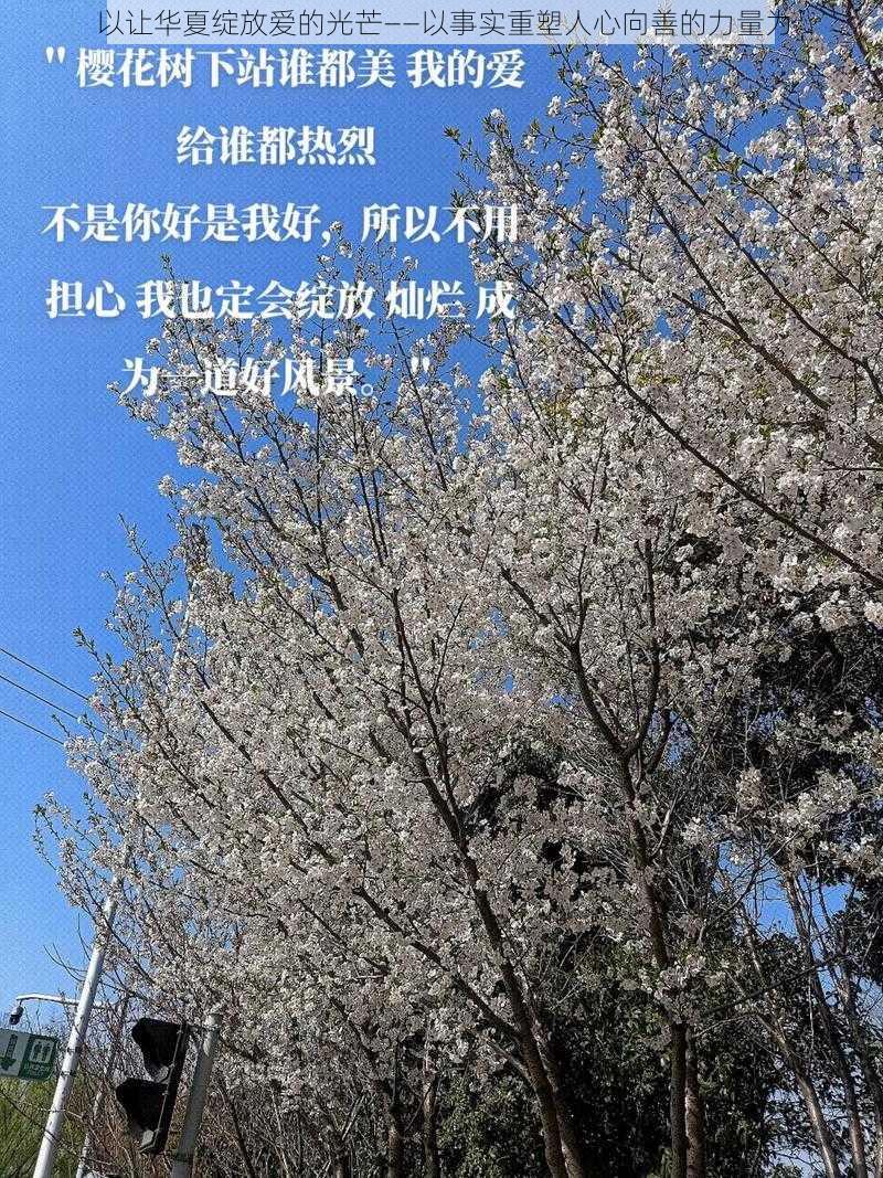 以让华夏绽放爱的光芒——以事实重塑人心向善的力量为