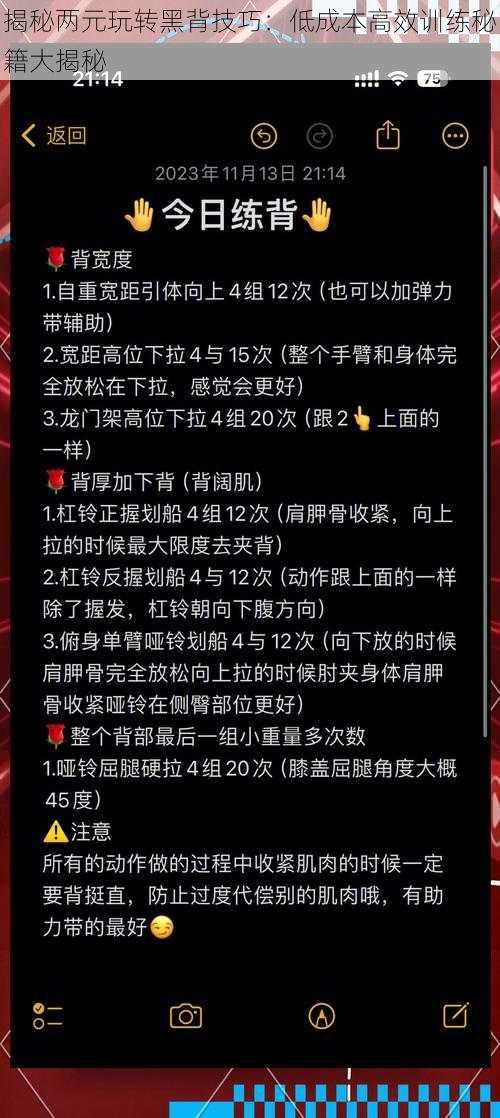 揭秘两元玩转黑背技巧：低成本高效训练秘籍大揭秘