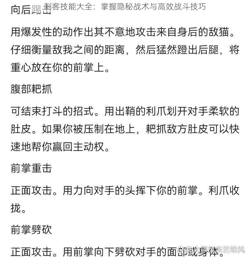 刺客技能大全：掌握隐秘战术与高效战斗技巧