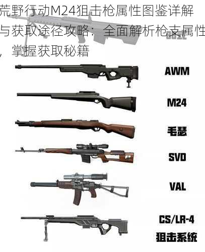 荒野行动M24狙击枪属性图鉴详解与获取途径攻略：全面解析枪支属性，掌握获取秘籍