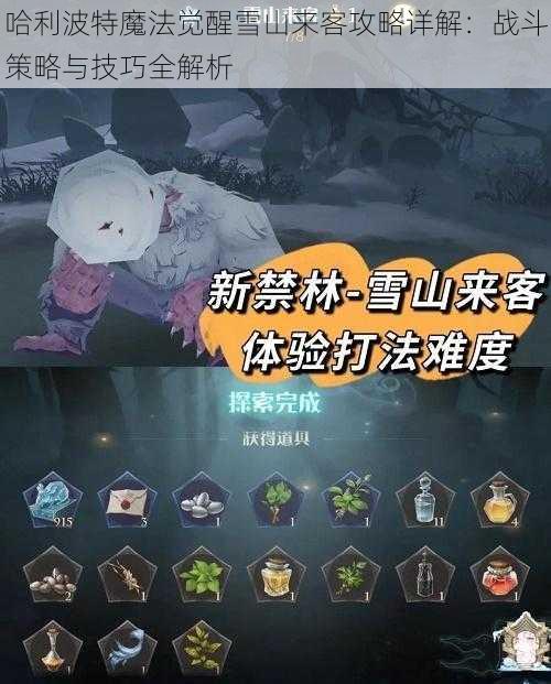 哈利波特魔法觉醒雪山来客攻略详解：战斗策略与技巧全解析